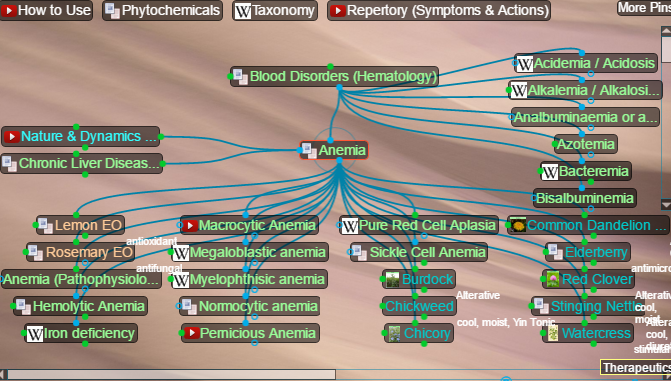 blood disorders, anemias