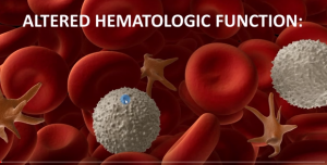 anemia hematologic function