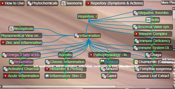 inflammation pathophysiology